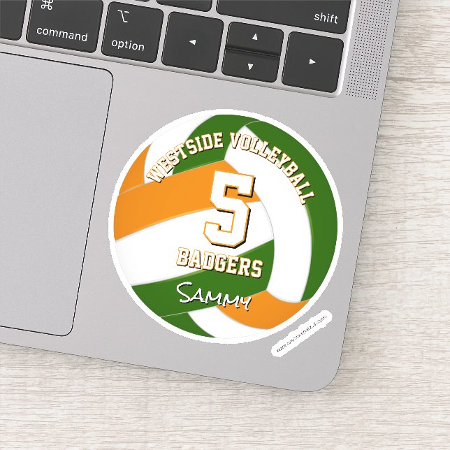 green orange team colours volleyball player (Detail)