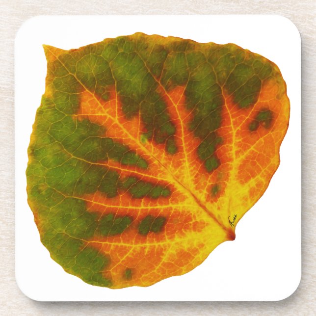 Green Orange & Yellow Aspen Leaf #1 Coaster (Front)