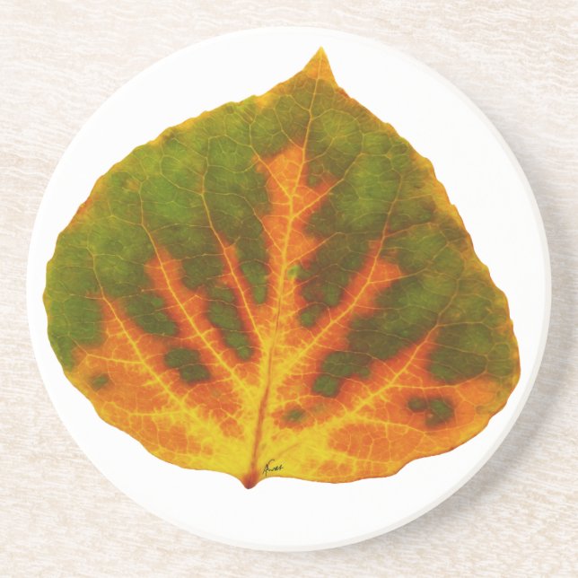 Green Orange & Yellow Aspen Leaf #1 Coaster (Front)