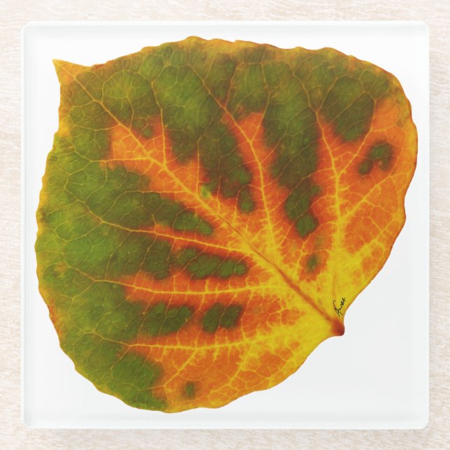 Green Orange & Yellow Aspen Leaf #1 Glass Coaster (Front)