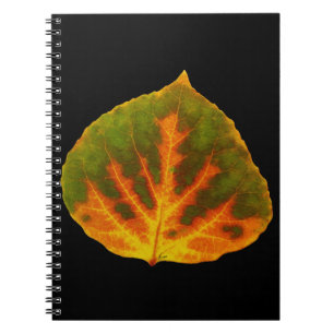 Green Orange & Yellow Aspen Leaf #1 Notebook