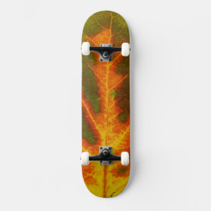 Green Orange & Yellow Aspen Leaf #1 Skateboard