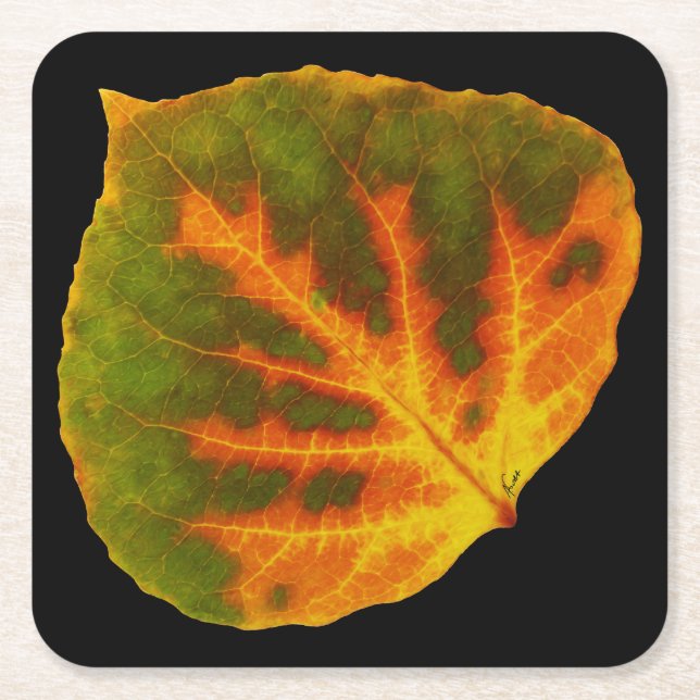 Green Orange & Yellow Aspen Leaf #1 Square Paper Coaster (Front)