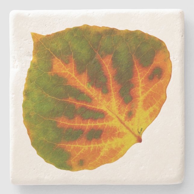 Green Orange & Yellow Aspen Leaf #1 Stone Coaster (Front)