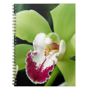 Green Orchid Notebook