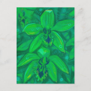 Green Orchid, Tropic Flower Floral Pastel Painting Postcard