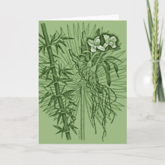 Green Orchids Card