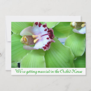 Green Orchids invitations