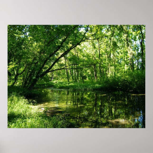 Green Outlook Poster (Front)