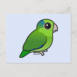 Green Pacific Parrotlet Postcard