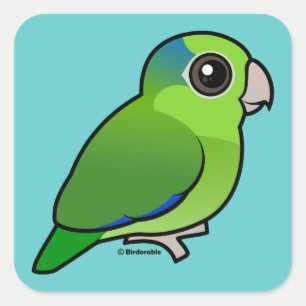 Green Pacific Parrotlet Square Sticker