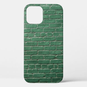 Green painted wall iPhone 12 case