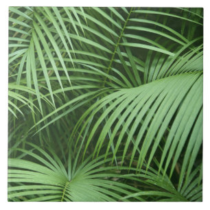 Green Palm Leaves Nature Botanical Themed Tile