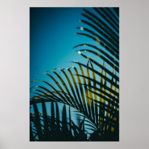 Green palm plant under blue sky in the morning poster