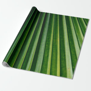 Green palm tree leaves wrapping paper