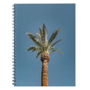 Green palm tree under blue sky in the morning notebook