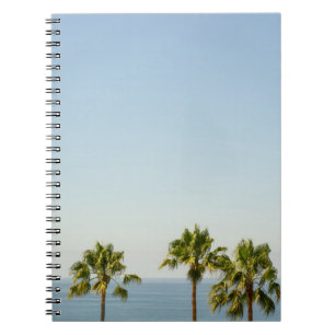 Green palm tree under white sky in the morning notebook