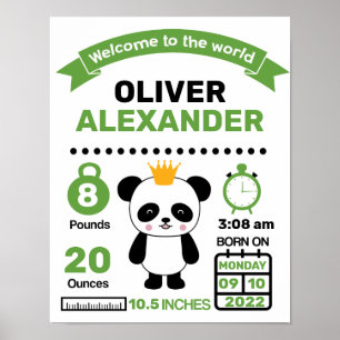 Green Panda Baby Birth Statistics Poster