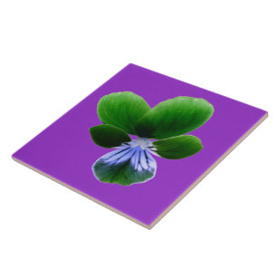 Green Pansy Tile
