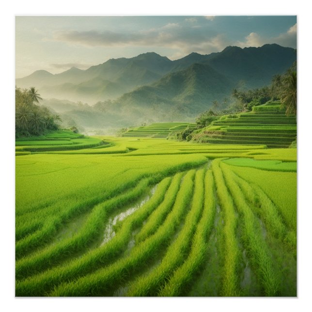 Green Paradise: A Stunning View of Rice Terraces Poster (Front)