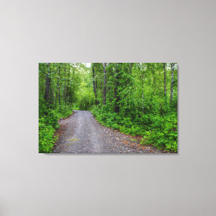 Green Paradise Canvas Print
