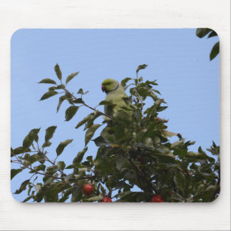 Green Parakeet Mouse Mat