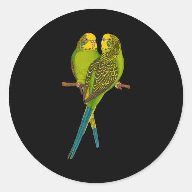 Green Parakeet Parakeets Budgie Bird Classic Round Sticker (Front)