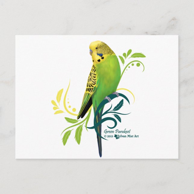 Green Parakeet Postcard (Front)