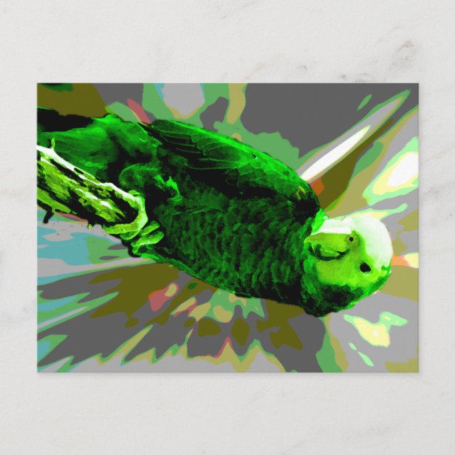 Green Parrot 6537 Postcard (Front)