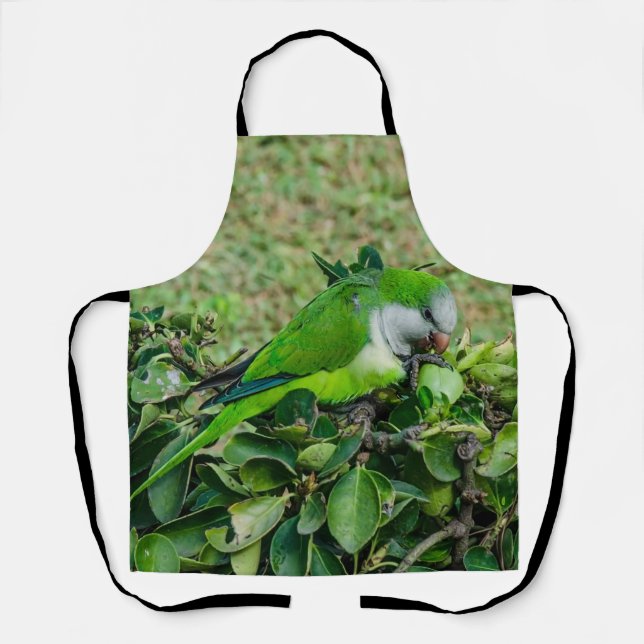 Green parrot apron (Front)