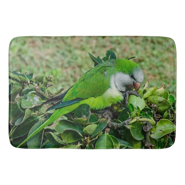 Green parrot bath mat (Front)