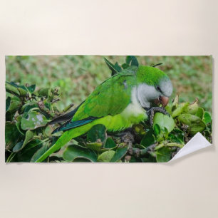 Green parrot beach towel