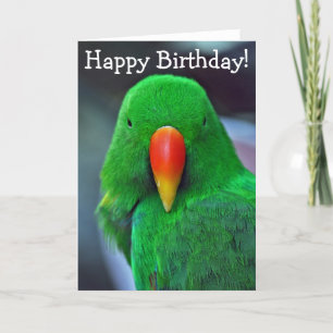 Green parrot birthday greeting card