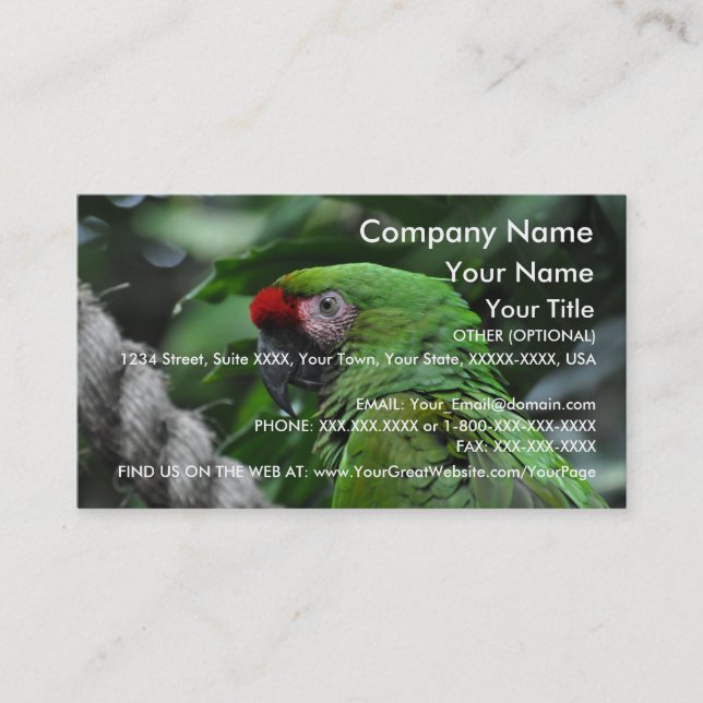 Green Parrot - business card template (Front)