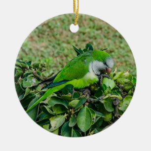 Green parrot ceramic tree decoration