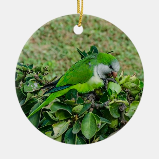 Green parrot ceramic tree decoration (Front)