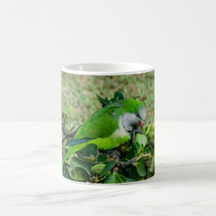 Green parrot coffee mug