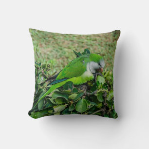 Green parrot cushion