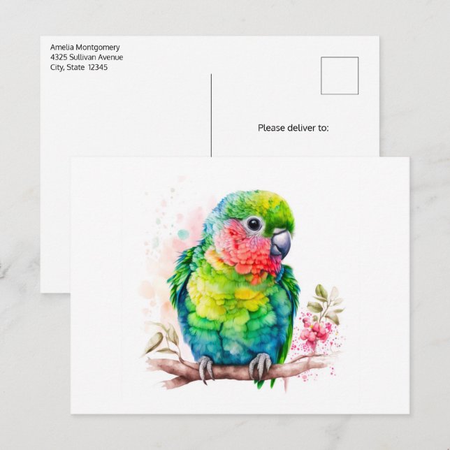 Green Parrot - Cute Baby Bird Postcard (Front/Back)