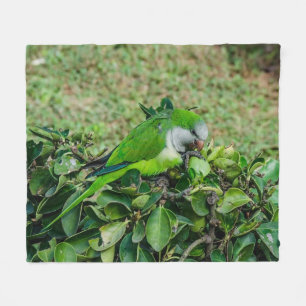 Green parrot fleece blanket