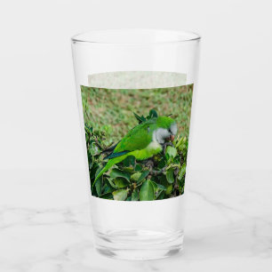 Green parrot glass