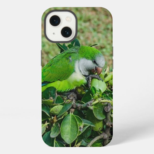 Green parrot iPhone case (Back)