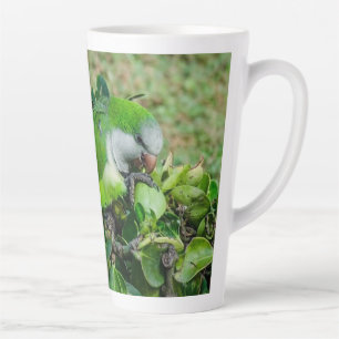 Green parrot latte mug