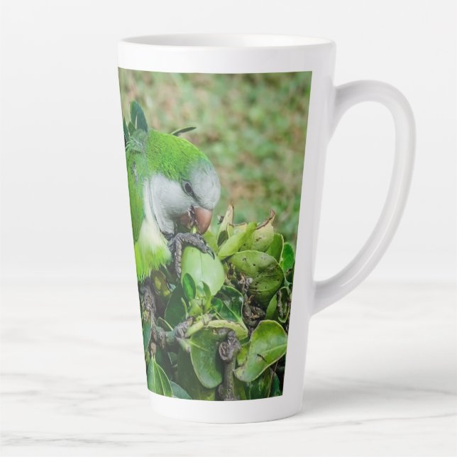 Green parrot latte mug (Right)