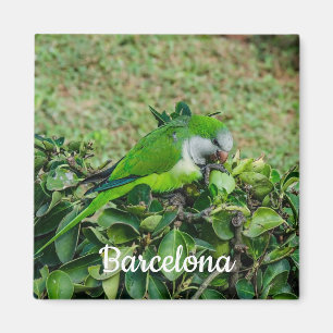 Green parrot magnet