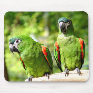 Green Parrot Mousepad 2