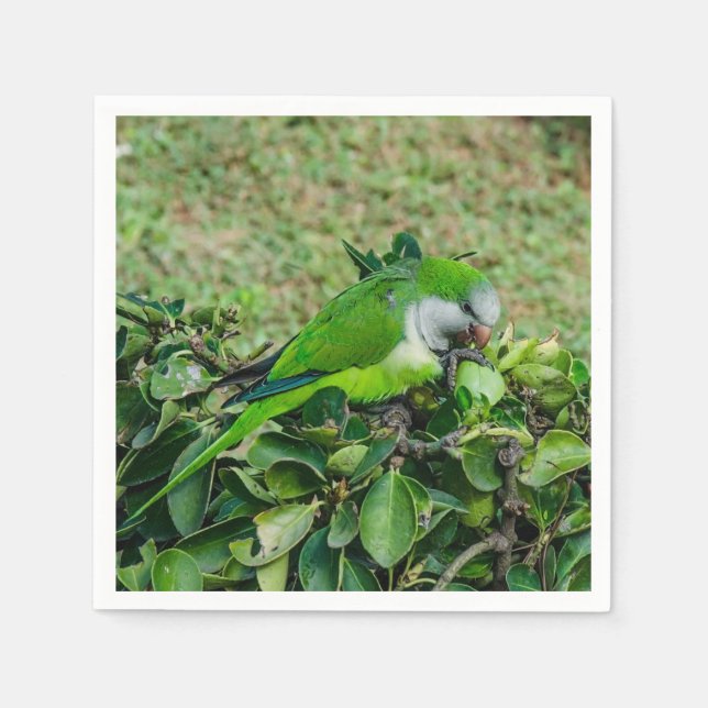 Green parrot napkin (Front)
