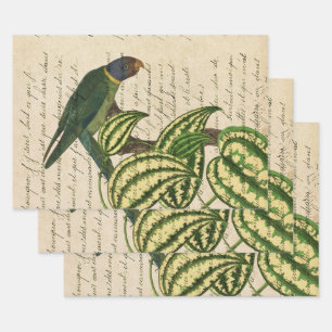 Green Parrot on Branch and Leaves Wrapping Paper Sheet