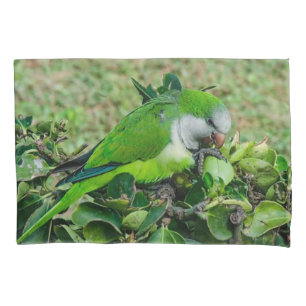 Green parrot pillowcase