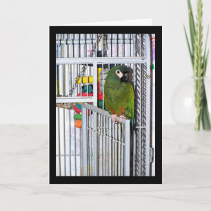 Green Parrot Portrait Card